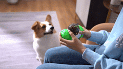 TURN TREATS™