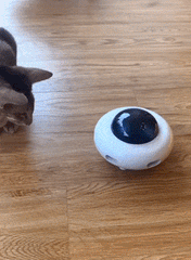 UFOCAT™