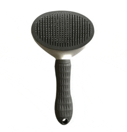 PET BRUSH™ - FANTASY BIG STORE