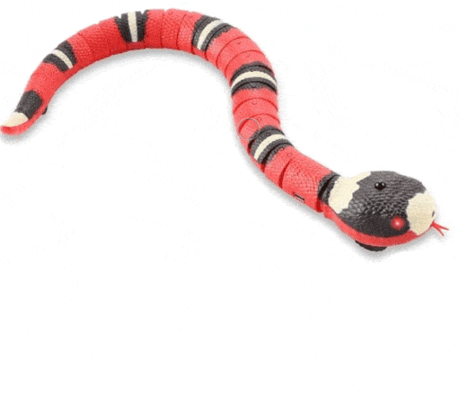 FUNNY SNAKE™ - FANTASY BIG STORE