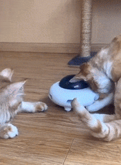 UFOCAT™