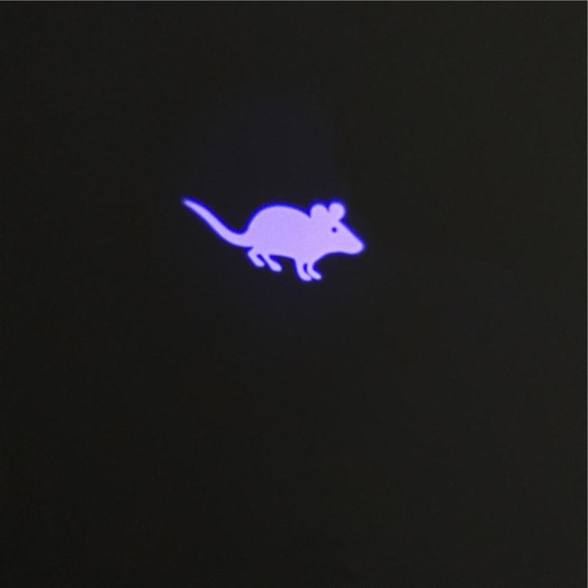 LASERCAT™ - FANTASY BIG STORE