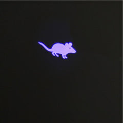 LASERCAT™ - FANTASY BIG STORE