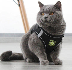 HARNESS REFLECT™ - FANTASY BIG STORE