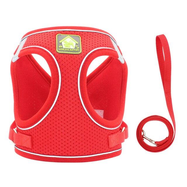 HARNESS REFLECT™ - FANTASY BIG STORE