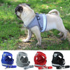 HARNESS REFLECT™ | Reflective walking harness for cats and small dogs - FANTASY BIG STORE