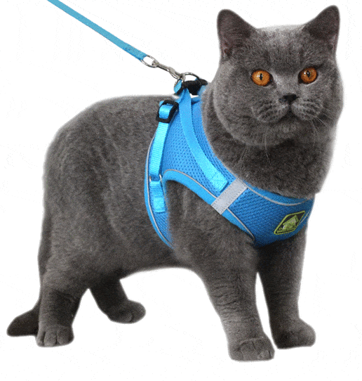 HARNESS REFLECT™ - FANTASY BIG STORE