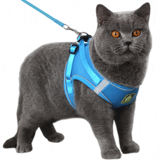 HARNESS REFLECT™ - FANTASY BIG STORE