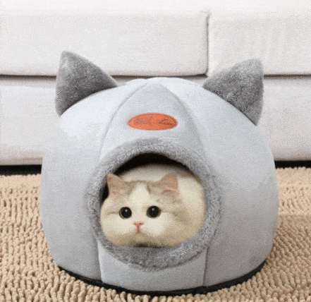 KENNEL CAT™ - FANTASY BIG STORE