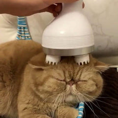 RELAX MASSAGER™ - FANTASY BIG STORE