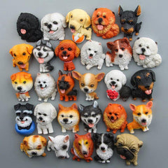MAGNETICATS™ - MAGNETICDOGS™ - FANTASY BIG STORE