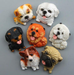 MAGNETICATS™ - MAGNETICDOGS™ - FANTASY BIG STORE
