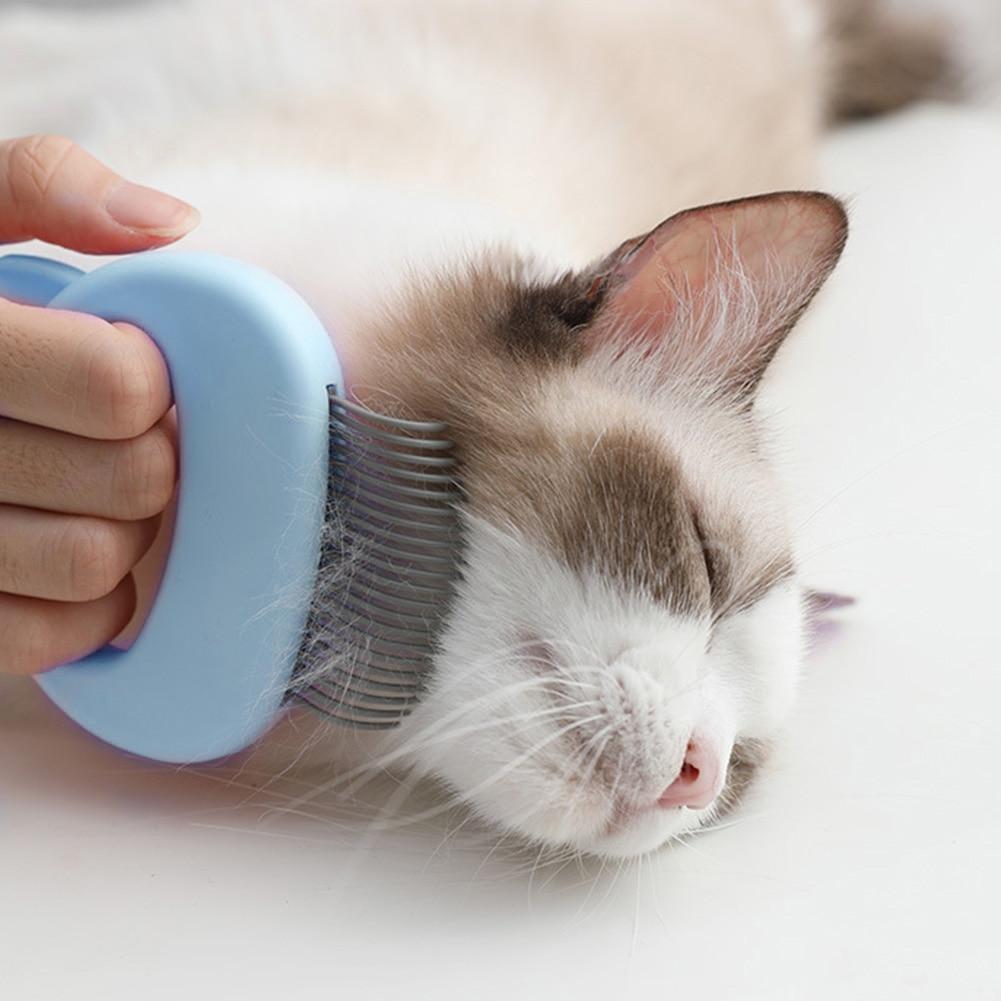 Massage brush to gently remove your cat's hair - FANTASY BIG STORE