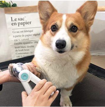 PET NAIL TRIMMER™ - FANTASY BIG STORE