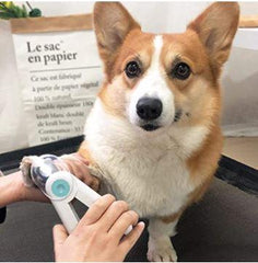 PET NAIL TRIMMER™ - FANTASY BIG STORE