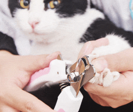 PET NAIL TRIMMER™ - FANTASY BIG STORE