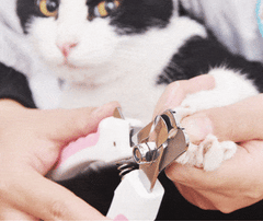 PET NAIL TRIMMER™ - FANTASY BIG STORE