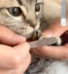 PET NAIL TRIMMER™ - FANTASY BIG STORE