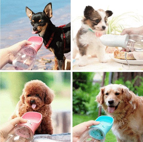 Practical travel bottle for dogs | Comfortable and colorful | Pets Products - FANTASY BIG STORE