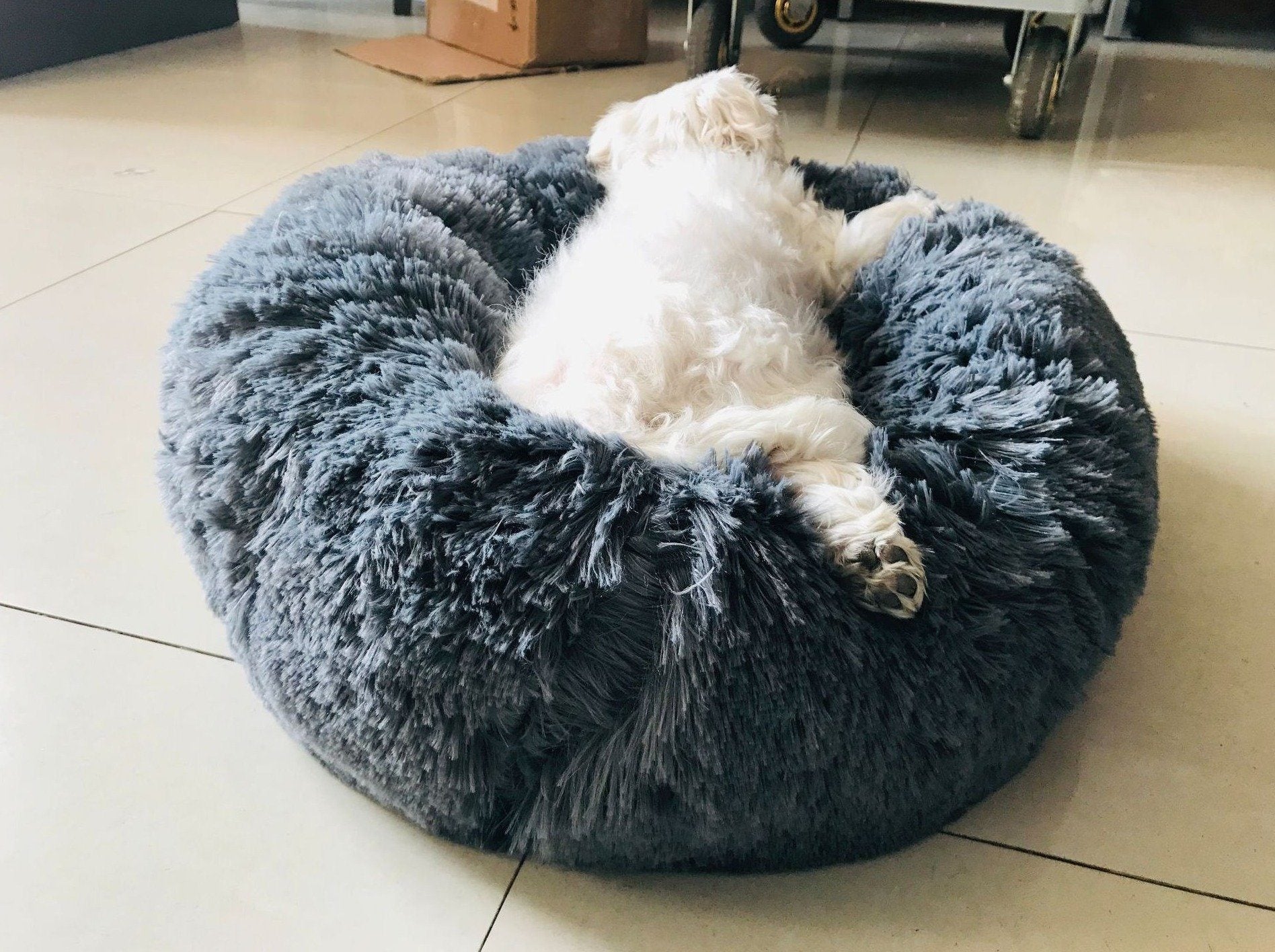 KITTY BED™ - FANTASY BIG STORE