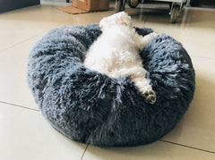 KITTY BED™ - FANTASY BIG STORE