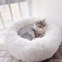 KITTY BED™ - FANTASY BIG STORE