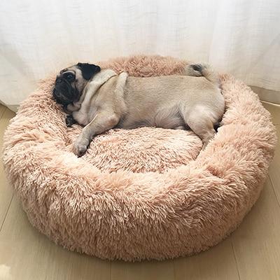 KITTY BED™ - FANTASY BIG STORE