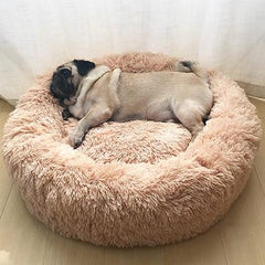 KITTY BED™ - FANTASY BIG STORE