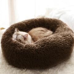 KITTY BED™ - FANTASY BIG STORE