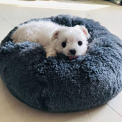 KITTY BED™ - FANTASY BIG STORE