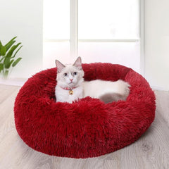 KITTY BED™ - FANTASY BIG STORE