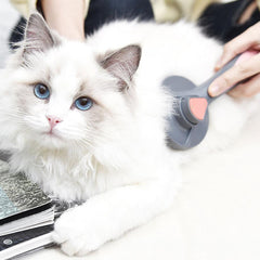 PET BRUSH™ - FANTASY BIG STORE