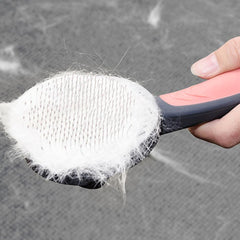 PET BRUSH™ - FANTASY BIG STORE