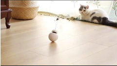 ROBO CAT™ - FANTASY BIG STORE