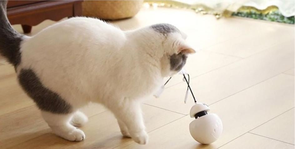 ROBO CAT™ - FANTASY BIG STORE