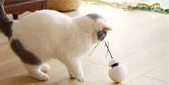 ROBO CAT™ - FANTASY BIG STORE