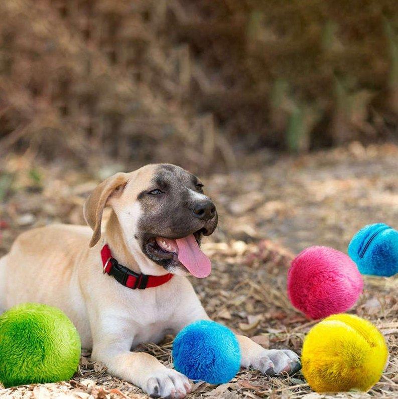 ROLLER PETS BALL™ - FANTASY BIG STORE