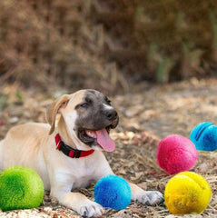 ROLLER PETS BALL™ - FANTASY BIG STORE