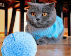 ROLLER PETS BALL™ - FANTASY BIG STORE