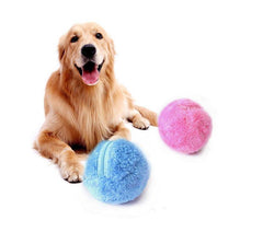 Roller Pets Ball™ | Interactive toy ball for cats and dogs - FANTASY BIG STORE