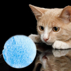 ROLLER PETS BALL™ - FANTASY BIG STORE