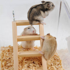 Small wooden ladder worked for hamster climbing - FANTASY BIG STORE