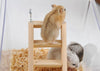 Small wooden ladder worked for hamster climbing - FANTASY BIG STORE