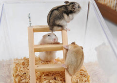 Small wooden ladder worked for hamster climbing - FANTASY BIG STORE