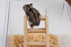 Small wooden ladder worked for hamster climbing - FANTASY BIG STORE