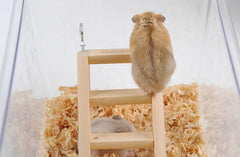 Small wooden ladder worked for hamster climbing - FANTASY BIG STORE