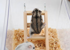 Small wooden ladder worked for hamster climbing - FANTASY BIG STORE