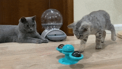 Turn Girella™ | Spinner toy for cats | With catnip - FANTASY BIG STORE