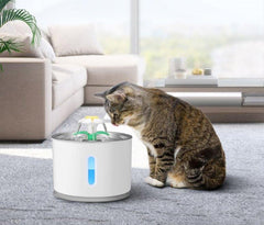 WATERCAT™ | Electric automatic led fountain | USB water dispenser - FANTASY BIG STORE